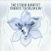 String Quartet Tribute to Coldplay