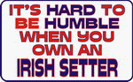It's hard to be humble when you own an Irish Setter 11 oz. White Mug