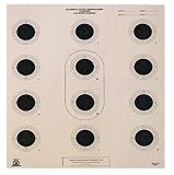 National Target 12 Bull Center Air Rifle Target