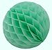 SUNBEAUTY Mint Series Mint Green Tissue Paper Pompom Paper Fan Mint Honeycomb Ball and Mint Green Paper Lanterns Pack of 4