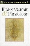 Human anatomy and physiology