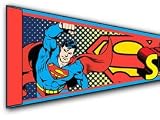 DC Comics Superman Fabric Pennant Flag 61310