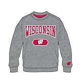 University of Wisconsin Badgers Men's Crew Sweatshirt Pullover