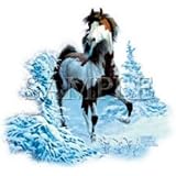 Youth Sweatshirt : Winter Renegade - Chestnut Overo Paint Horse