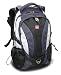 Swiss Gear SA9666 BackPack for Laptops (Grey)