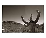 Nothing Left To Do But Sit Back and Watch Scenic Photographic Poster Print by Mike Cavaroc, 20x24