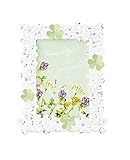 トレフル　インテリアフレーム　120×160　KP-31313 インテリア その他インテリア [並行輸入品]