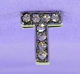 T Letter 10mm Slide Charm for Personalized Bling Dog Collar