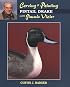 Carving & Painting a Pintail Drake With Jimmie Vizier (Carving & Painting Series)