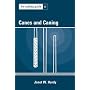 The Toybag Guide to Canes and Caning (Toybag Guide)
