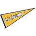 Towson Tigers Pennant Full Size Felt