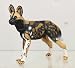 African Wild Dog
