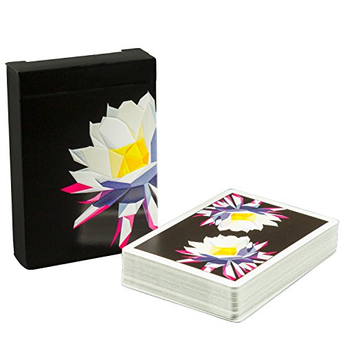 Carpe Noctem Playing Cards Deck - By Chris Ramsay for Ellusionist - Limited Edition