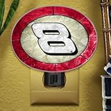 DALE EARNHARDT, JR NASCAR Tiffany Stained Glass NIGHTLIGHT