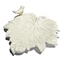 Strathwood Lotus-Shaped Ground-Level Birdbath with White and Rust Finish