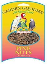 Sun Seed Company BSS33016 Garden Goodies Pine Nuts