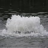 Kasco 1 2 HP Display Fountain - Pond Aerator - 115v