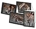 Horse - Mare and Foal - Greeting Cards 16 with Envelopes