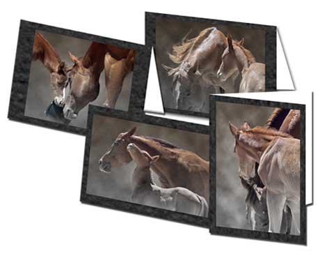 Horse - Mare and Foal - Greeting Cards 16 with Envelopes On Sale