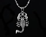 41VLIjWivwL. SL160  Stainless Steel The Scorpion King Scorpio Pendant Necklace for men New