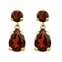 14k Yellow Gold Garnet Dangle Earrings