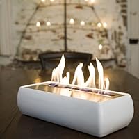 Avani Portable Bio Ethanol Fireplace Finish: White