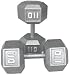 Pair 110 lb. Cast Iron Hex Dumbbells