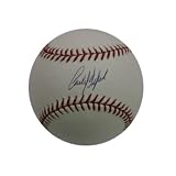 New York Mets Carlos Delgado Autographed Baseball (MLB Authenticated)