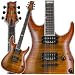 Musical Instruments : ESP H-1001 H-Series Electric Guitar Amber Cherry Sunburst Finish