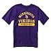 NFL Minnesota Vikings T-Shirt - Team {L (12-14)}