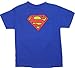 Superman Logo - DC Comics Youth T-shirt