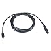 Electronics : QVS FireWire800 Bilingual/i.Link for Audio/Video 9 Pin to 4 Pin