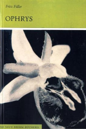Ophrys - Ragwurzarten Mitteleuropas