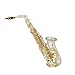 Cecilio Silver Plated Sandblast Alto Saxophone w/ Carrying Case and Accessories