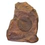 Brown 6.5" High Performance Coaxial Rock Speaker