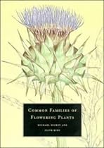 Common Families of Flowering Plants