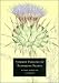 Common Families of Flowering Plants