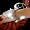 Battery LED Fairy Lights WHITE 10 Bulbs - Static