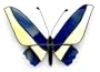 Glass wall adornment, 'Titicaca Butterfly'