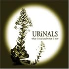 What Is Real and What Is Not by Urinals