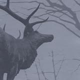 Mantle