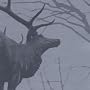 The Mantle von Agalloch