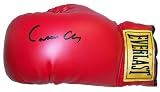 Cassius Clay Autographed Signed Everlast Boxing Glove by Gloves