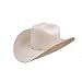 Stetson El Puro