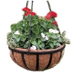 12 Hanging Basket with Liner