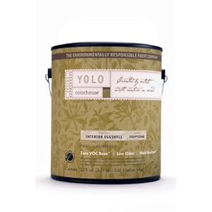 YOLO Colorhouse Eggshell Interior Paint, Air .01, Gallon