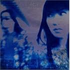 Midnight Skyway by Ice