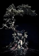 the&nbsp;GazettE&nbsp;LIVE&nbsp;TOUR&nbsp;12-13��DIVISION��FINAL&nbsp;MELT&nbsp;LIVE&nbsp;AT&nbsp;03.10&nbsp;SAITAMA&nbsp;SUPER&nbsp;ARENA&nbsp;��DVD��