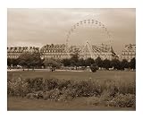 Carousel and the Tuilerie Gardens