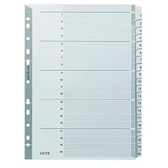 Leitz 43260000 Kartonregister 1-20, A4, Karton, 20 Blatt, grau